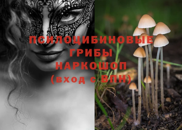 mdpv Балахна