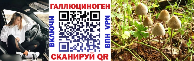Галлюциногенные грибы Magic Shrooms Боготол